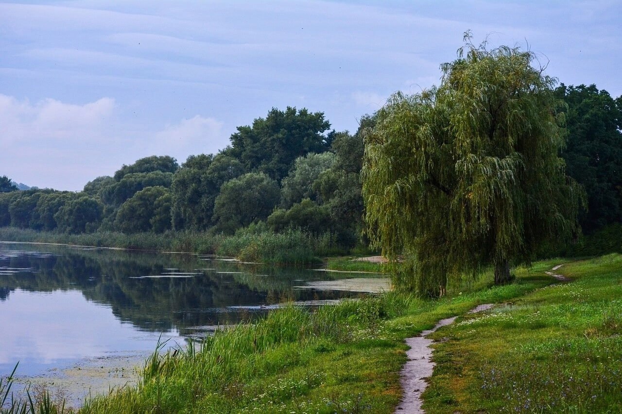 Шепот белгородская область