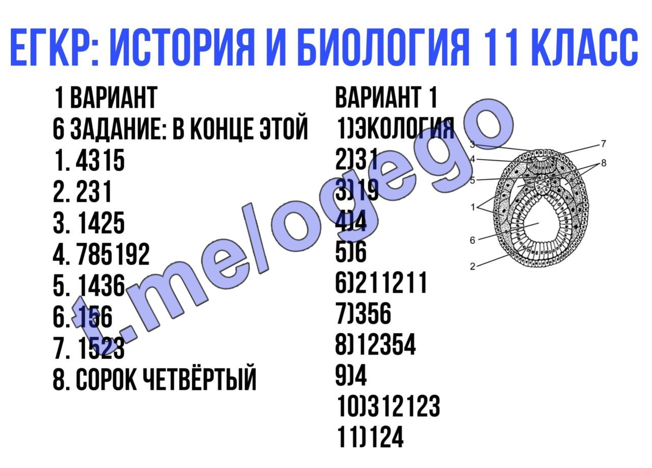 Результаты егкр по английскому языку.