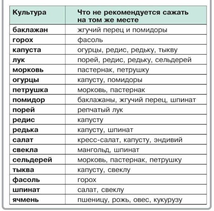 После томатов можно сажать лук. Шпаргалка огородника. Соседство растений в саду и огороде таблица. Севооборот на огороде что после чего можно сажать таблица. Совместимость овощей на огороде таблица.