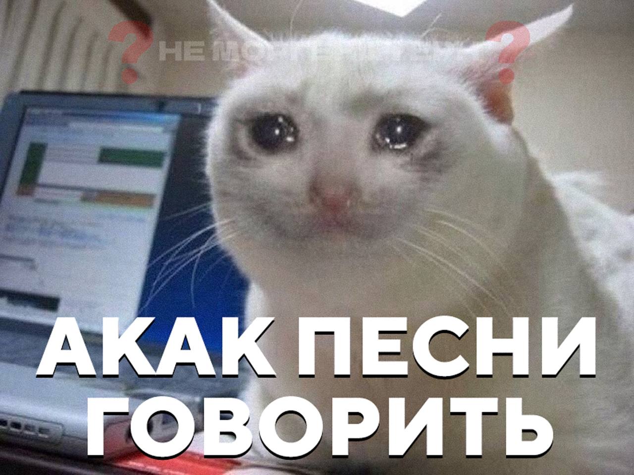 Я уже с тобой разговаривать. Нинада Мем. Можно не надо.