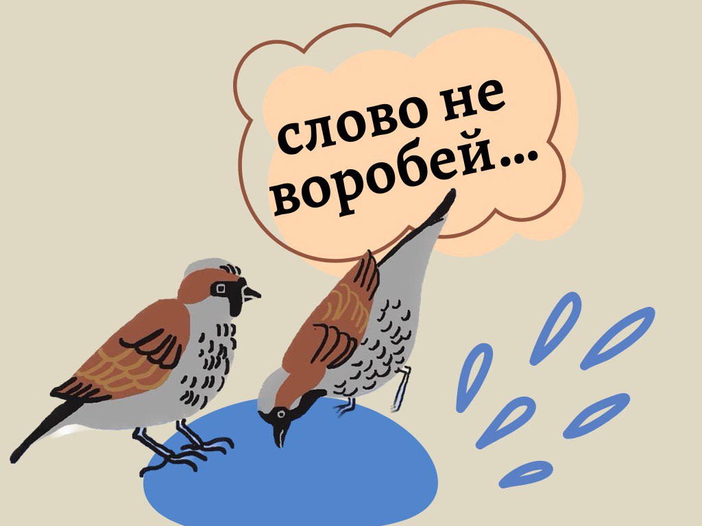 Слово не Воробей. Фразеологизмы с птицами. Стреляный Воробей фразеологизм. Стреляный Воробей значение фразеологизма.