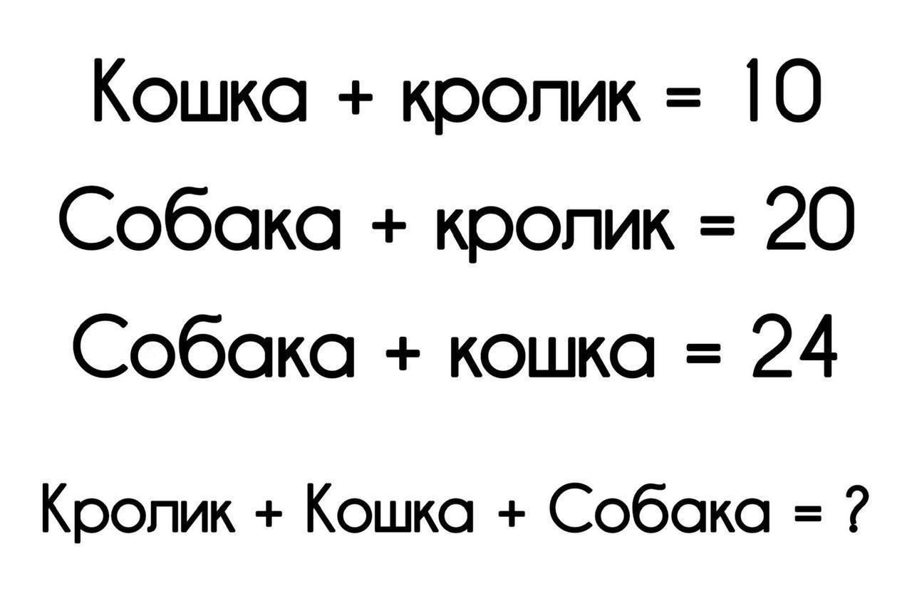 Загадка два брюшка. Загадка про стекло. Загадка про линейку. Загадка про линейку 1 класс. Спортивные загадки с отгадками 4 класс.