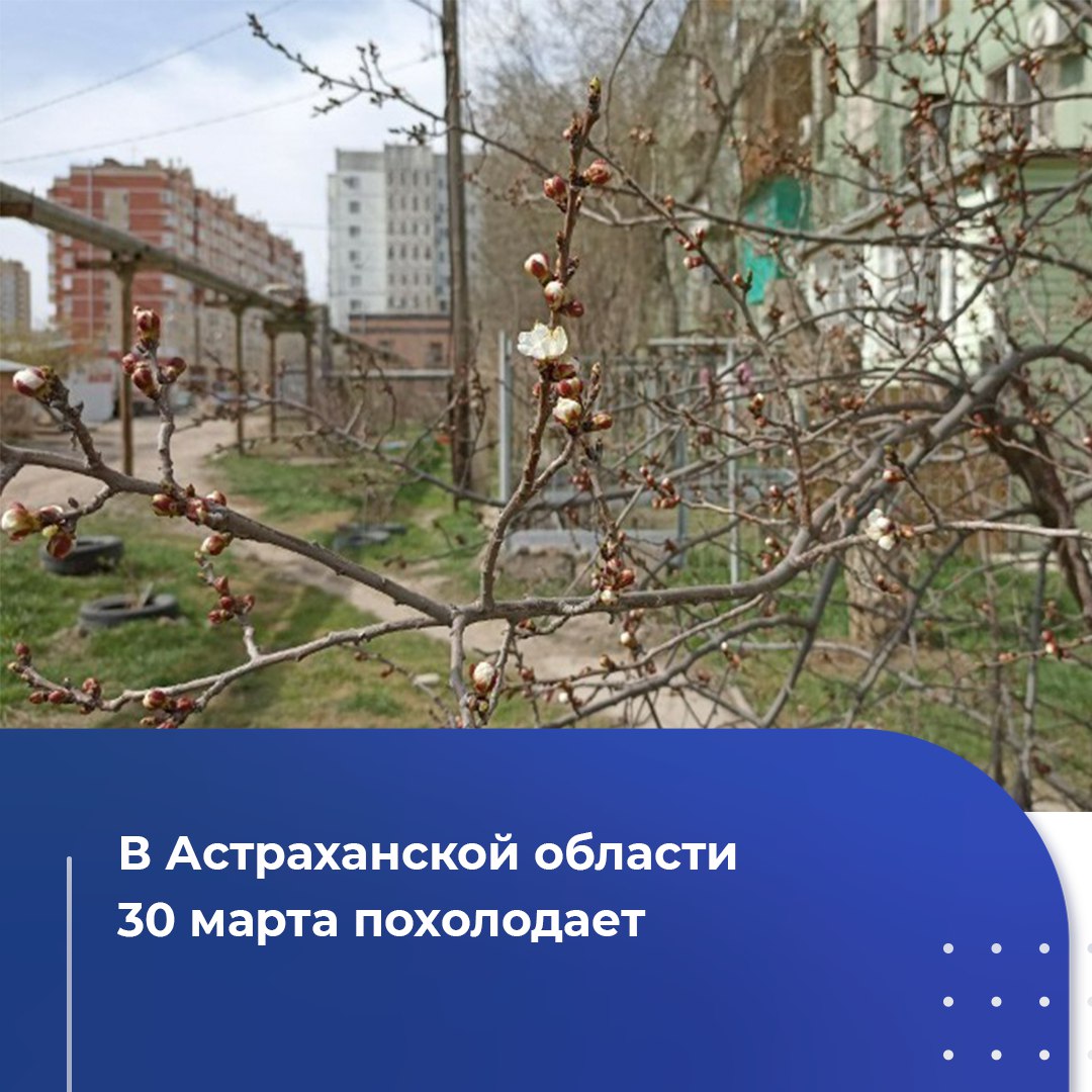 Сильный ветер в астрахани. Пыльная буря в астрахани. Штормовой ветер астрахань. Сильный ветер 18 мая в хабаровске. Астраханский ветер.