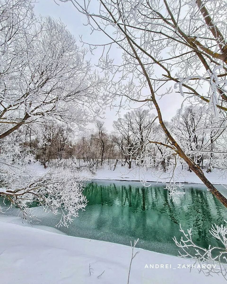 лебяжье озеро зимой казань