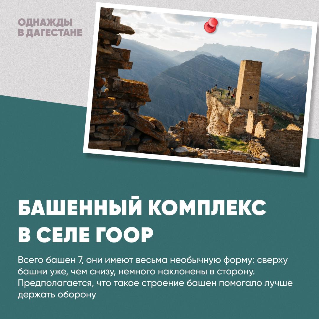 Сливы дагестан телеграмм фото 110