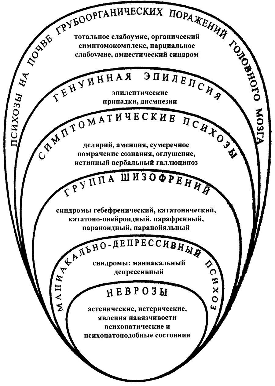 Круги снежневского презентация