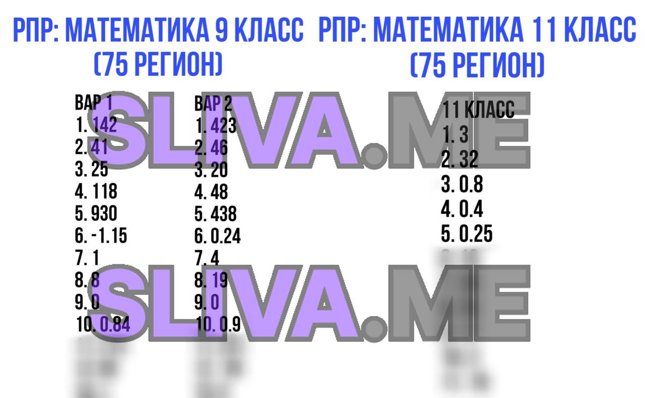 Рпр по математике 9 класс 2024