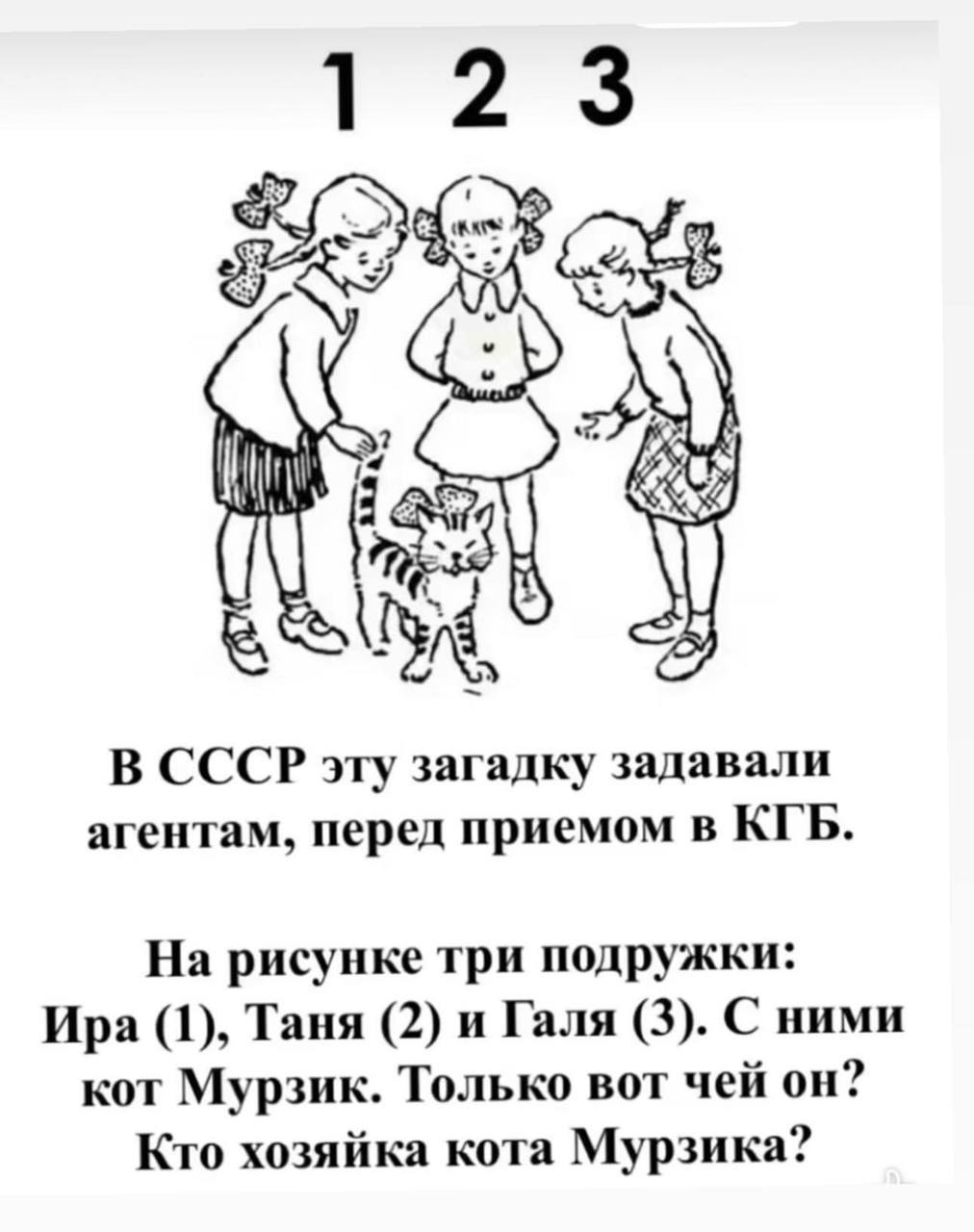 Загадка ира таня галя чей кот мурзик. Загадка перед приемом в КГБ. В СССР загадка перед приемом в КГБ. Загадки КГБ логические. В СССР эту загадку.