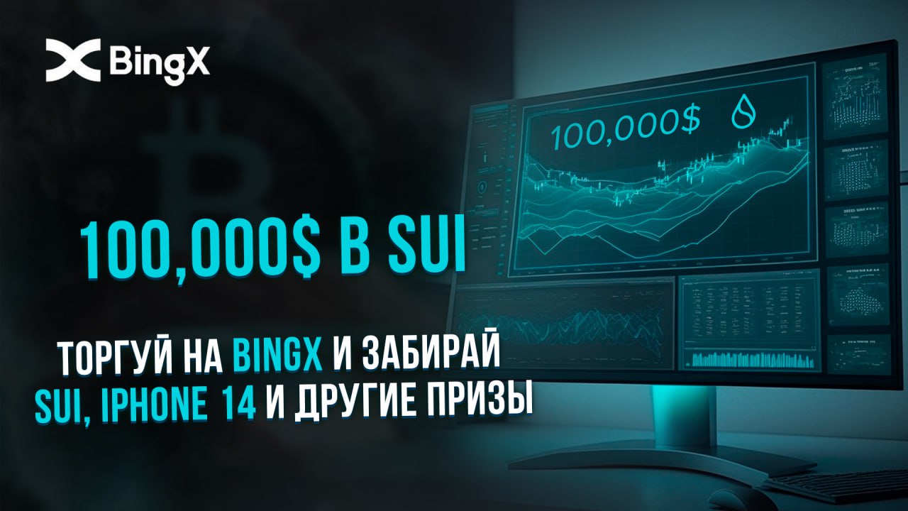 Bingx отзывы