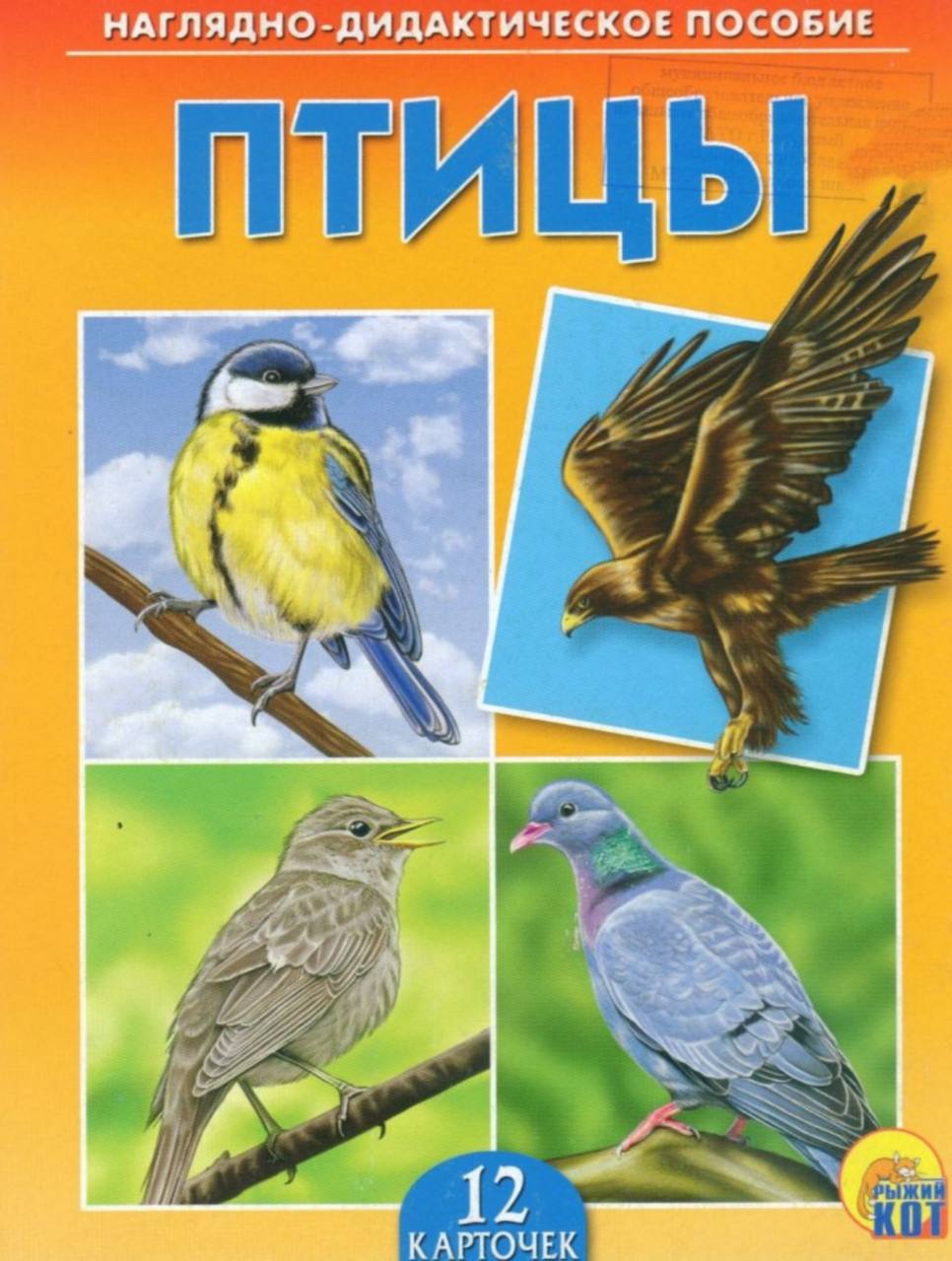 Наглядно дидактическое. Наглядно - дидактическое пособие птицы. Наглядно дидактическое пособие для детей птицы. Птицы карточки для детей наглядно дидактическое пособие. Демонстрационный материал птицы.