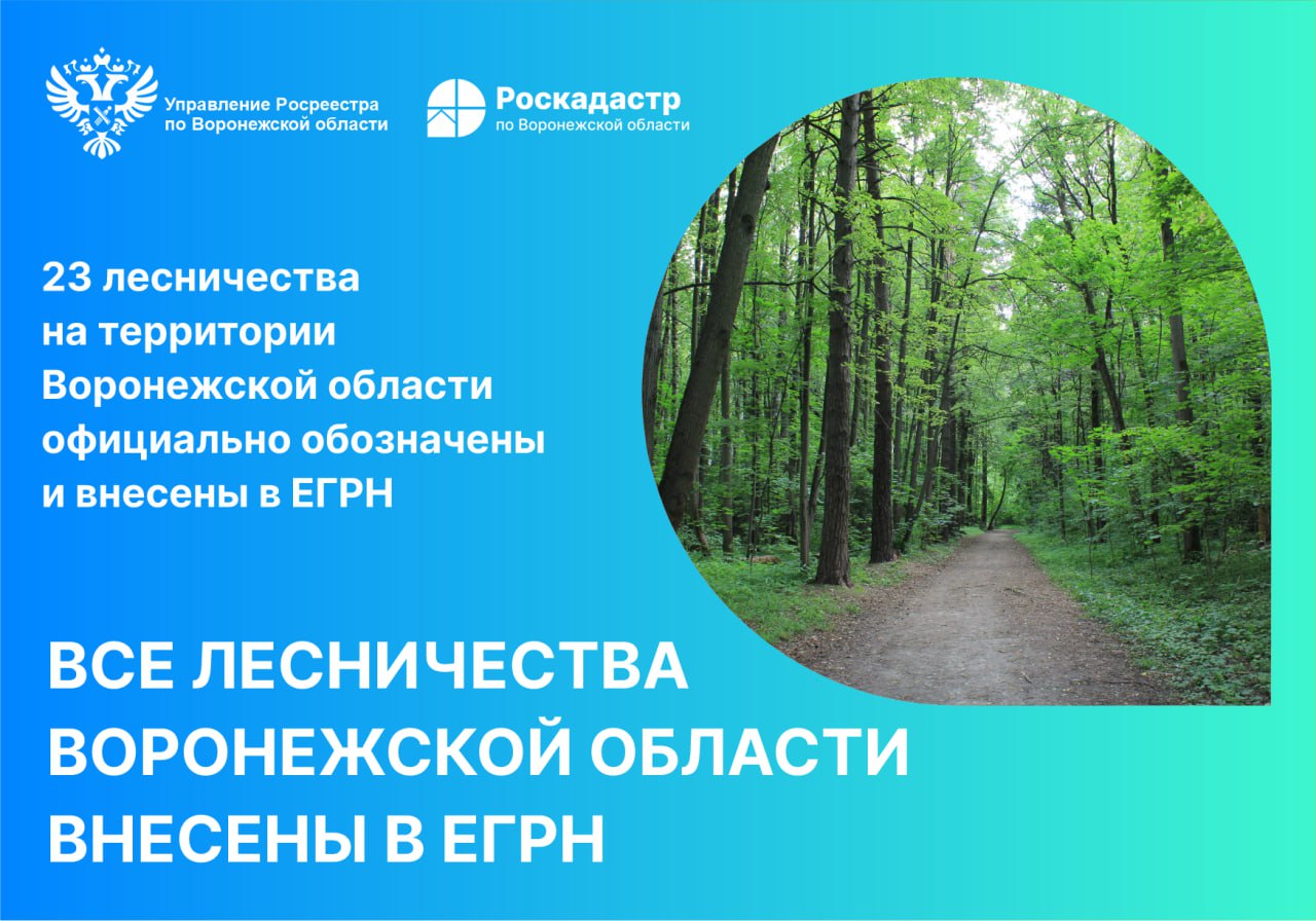 Карта лесничеств Воронежской области. Пригородное лесничество Воронежской области. Роскадастр.