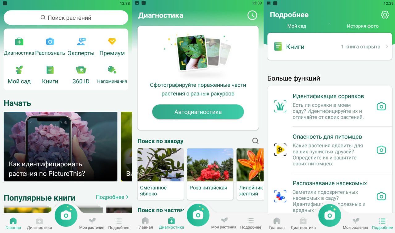 Распознаватель Растений По Фото Онлайн