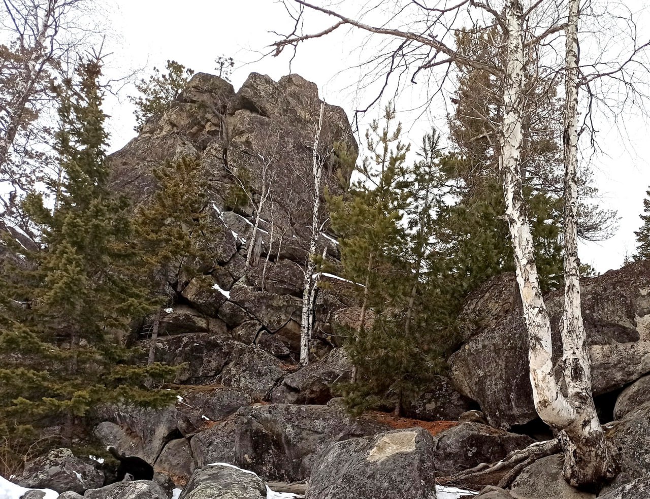 Скальник Витязь Иркутск Фото