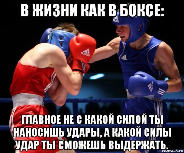 Боксирует мем. Бокс Мем. В жизни как в боксе главное не. Боксерские мемы.