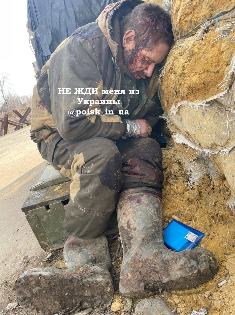 Трэш война на украине телеграмм фото 24