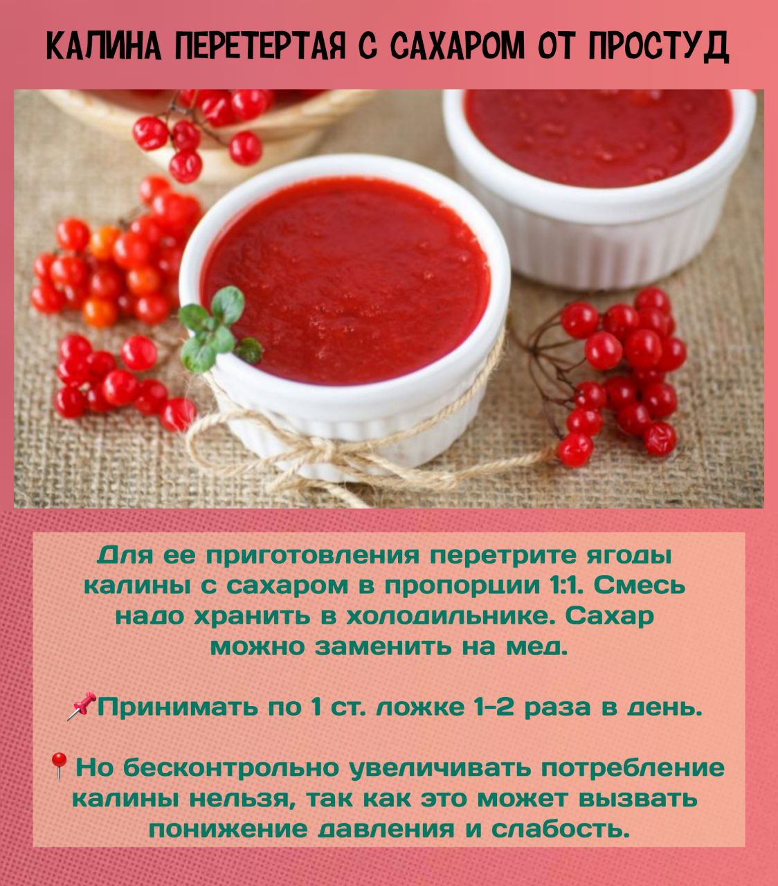 Калина для здоровья