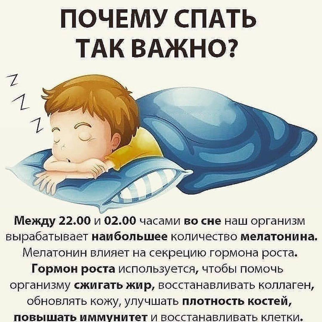 Почему важно спать