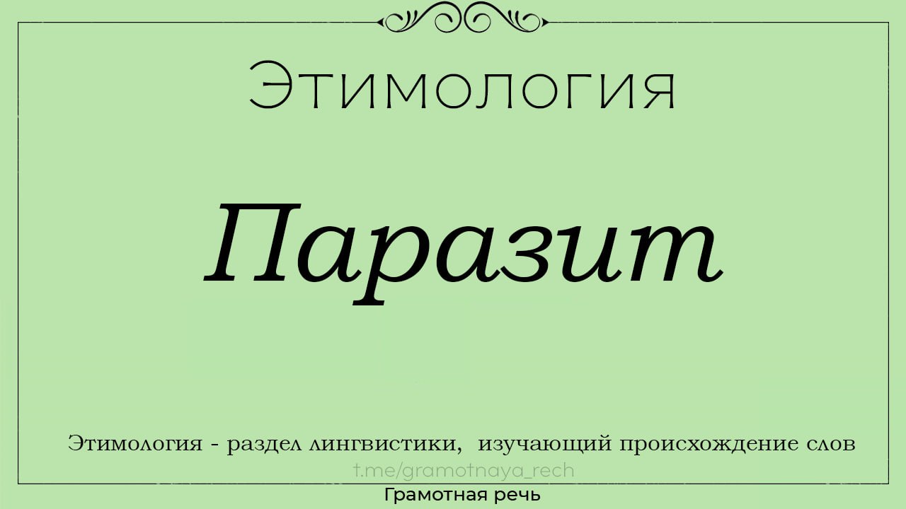 Экономика происхождение слова. Происхождение слова магазин.