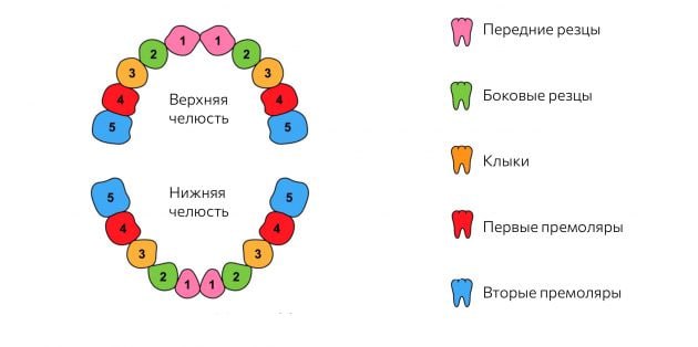 Время выпадения молочных зубов у детей таблица Post #1136 - Доктор Тележкин Блог терапевта Николая Тележкина (@docTelezhkin)
