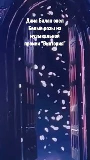 Музыка димы билана белые розы. Музыка димы билана белые розы. Музыка димы билана белые розы. Дикая пума юлианна караулова текст. Билан с розой.